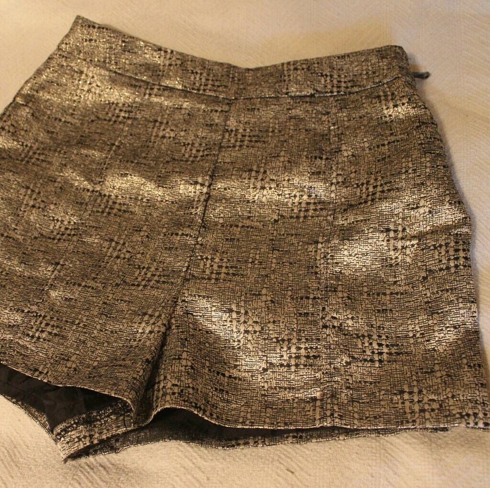 Flashy High Rise Shorts