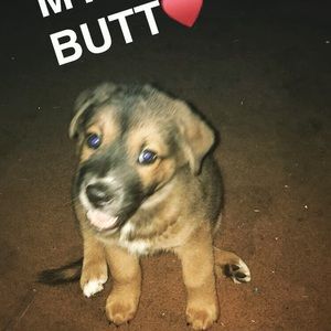 Meet your Posher, Inez