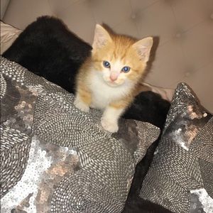 Meet your Posher, Katherine