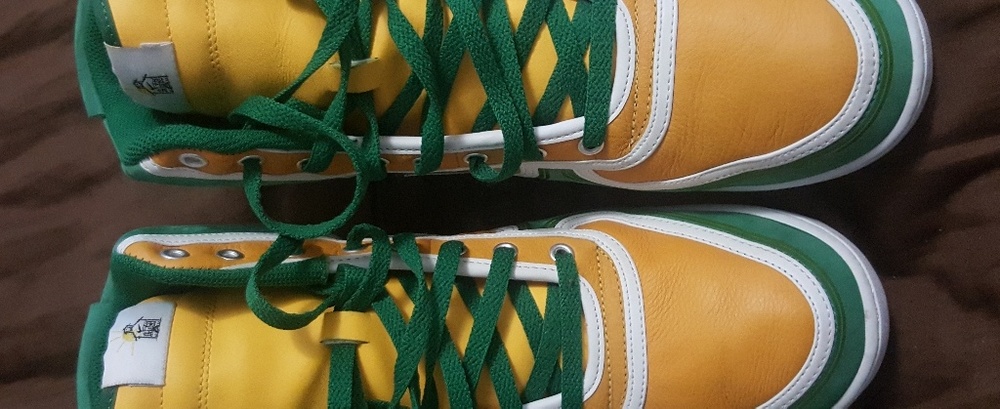 Rare Nike Vandal High