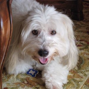 Meet your Posher, Marie