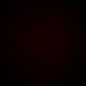 Meet your Posher, Bradley