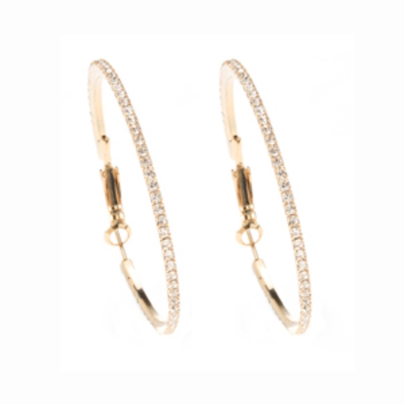 NEW! Beautiful Theia Hoop earrings - 2" diameter - Picture 1 of 2