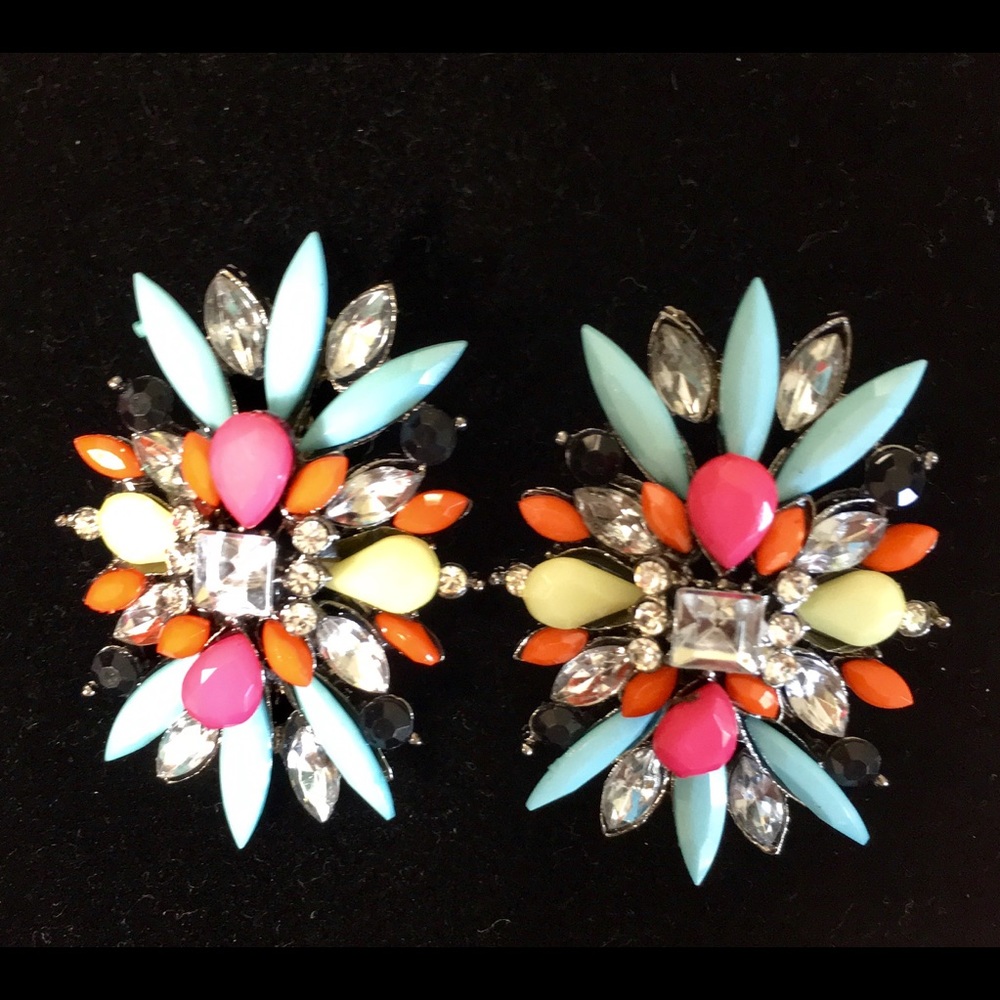 Multi Color Earrings