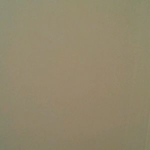 Meet your Posher, Leo