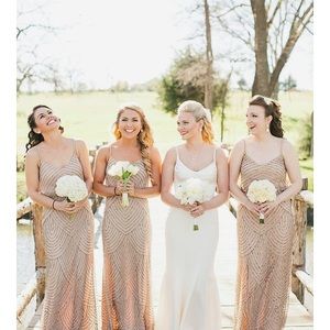 Adrianna papell gown, size 4