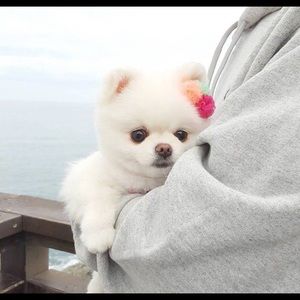 Meet your Posher, Bin