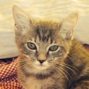 Meet your Posher, Timothy