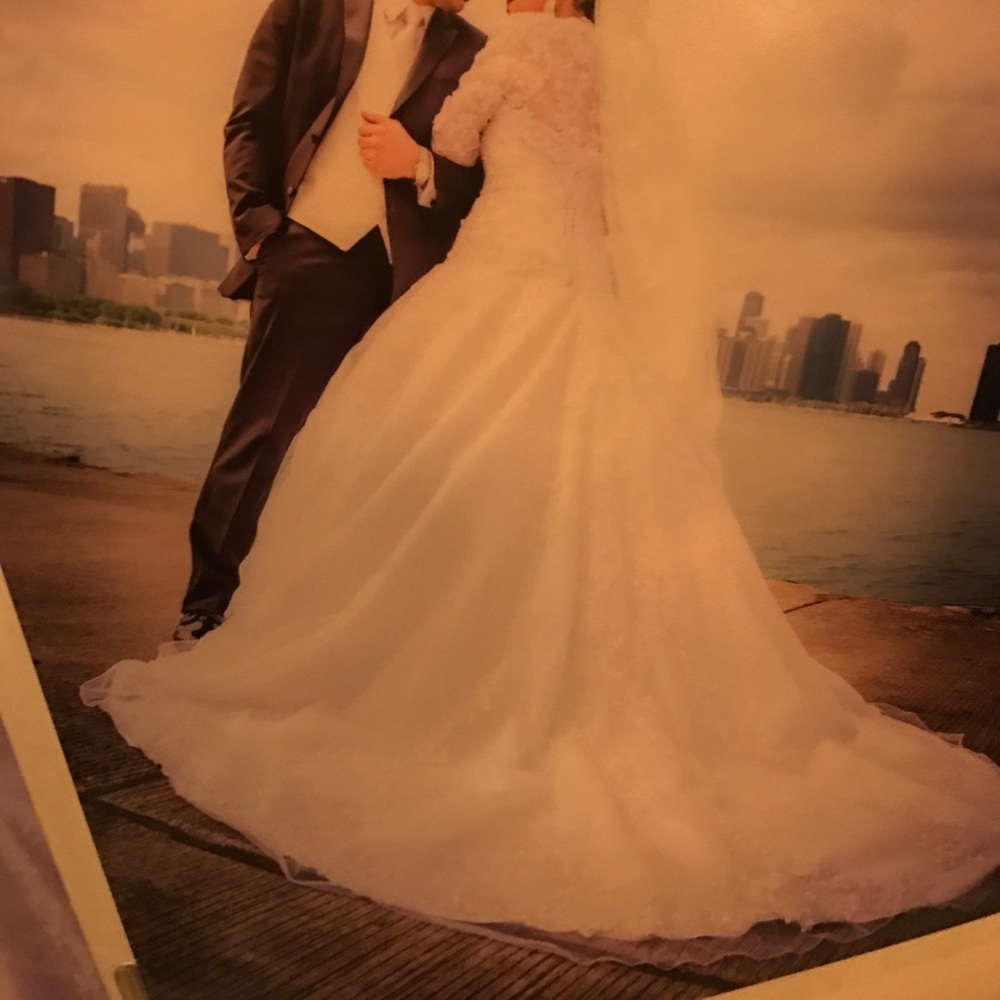 Stunning wedding dress - Picture 3 of 8