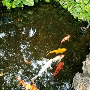 Meet your Posher, Bradley