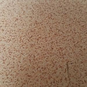 Meet your Posher, Regina