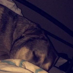 Meet your Posher, Hannah