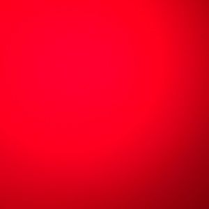 Meet your Posher, Leo