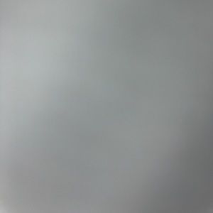 Meet your Posher, Ron