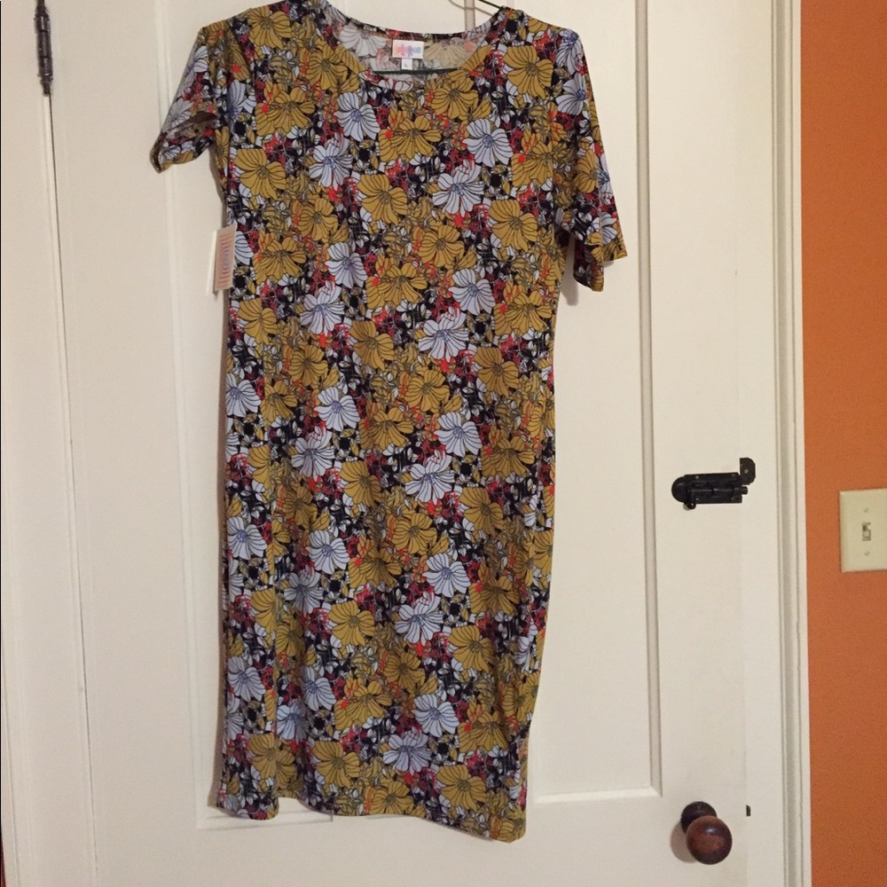 NWT LulaRoe Julia