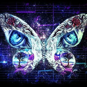 Meet your Posher, Terry