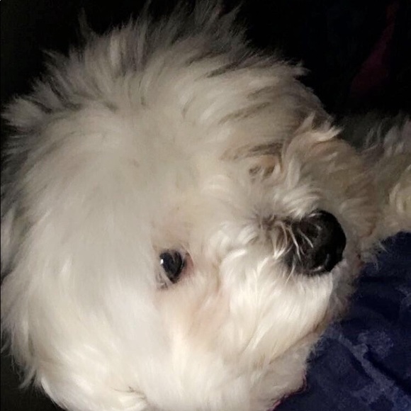 Hello Everyone lets shop and share!!!! - Picture 3 of 3