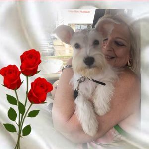 Meet your Posher, Doris