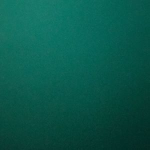 Meet your Posher, Constance