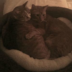 Meet your Posher, Terri