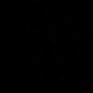 Meet your Posher, Nathan