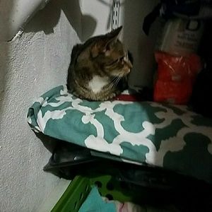 Meet your Posher, Drew