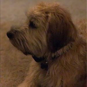 Meet your Posher, Ethan