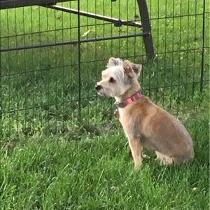 Meet your Posher, Cheryl