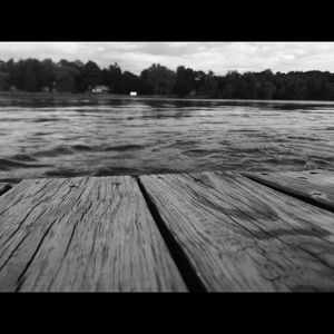 Meet your Posher, Esther