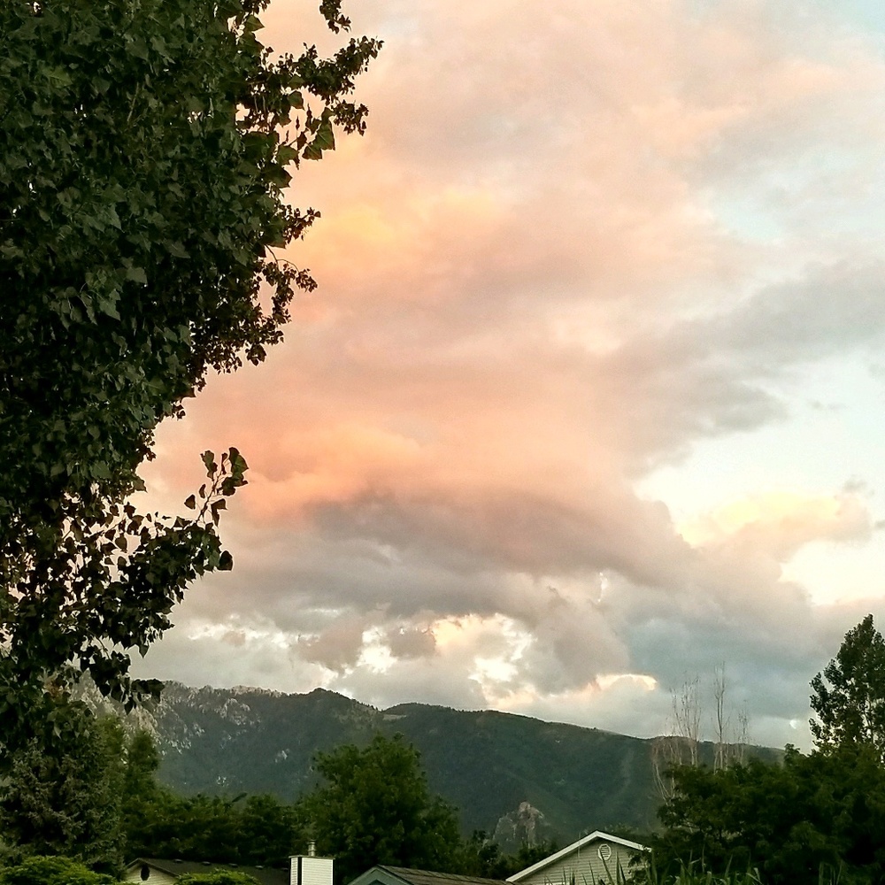 Meet your Posher, Jillian