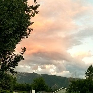 Meet your Posher, Jillian