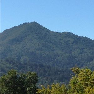 Meet your Posher, Janie