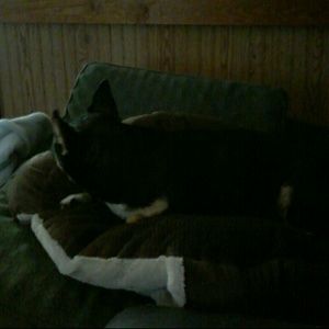 Meet your Posher, Rene