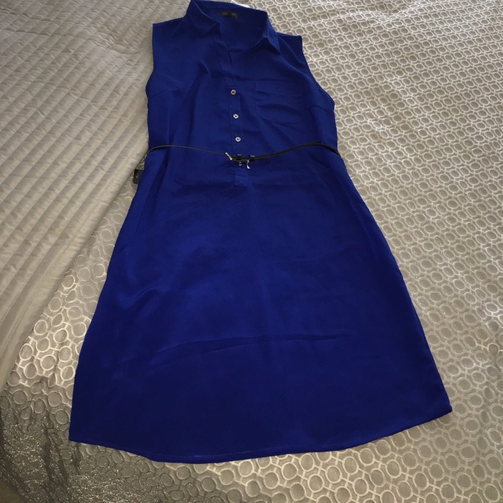 The Limited Sleeveless Ashton Dress in Blue.