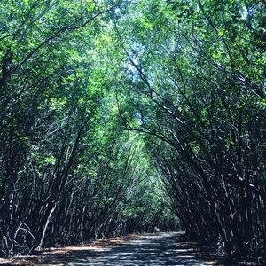 Meet your Posher, Martha