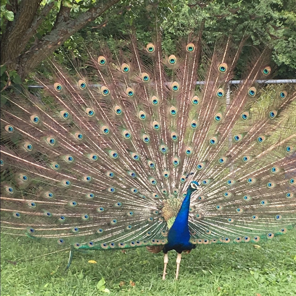 I Can’t Always Respond Quickly, I Babysit