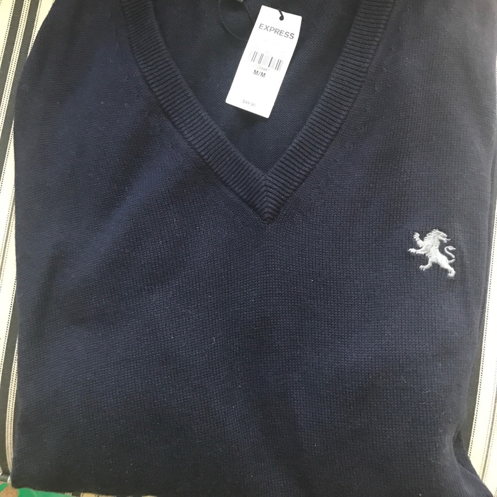 Sweater from Express