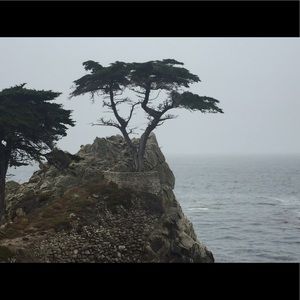 Meet your Posher, Su