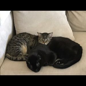 Meet your Posher, Trudi