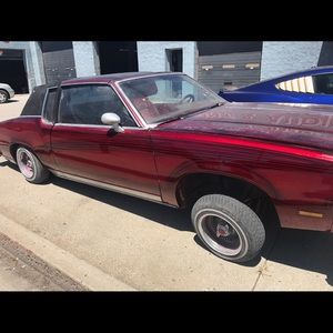 Meet your Posher, Sal