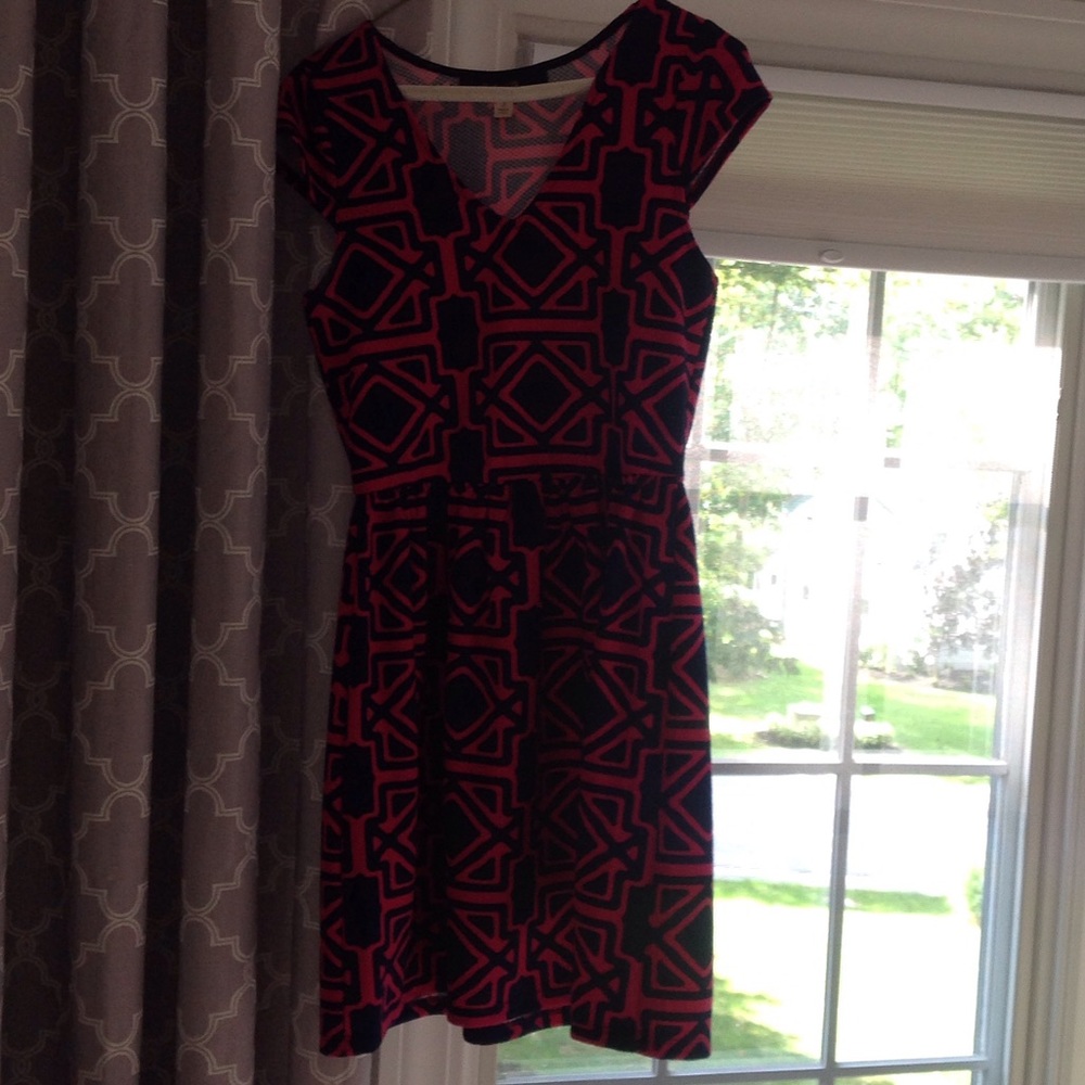Francesca's Dress