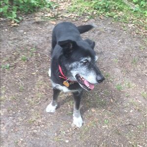 Meet your Posher, Denise