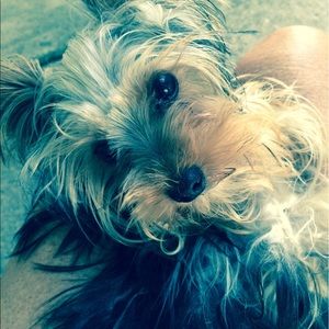 Meet your Posher, Donna