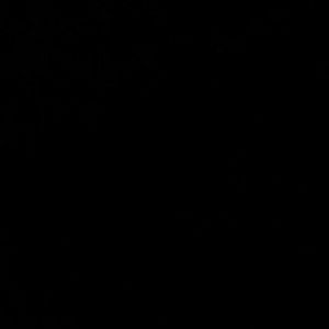 Meet your Posher, Ava