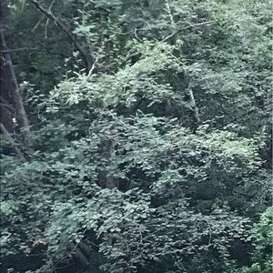 Meet your Posher, Jaime