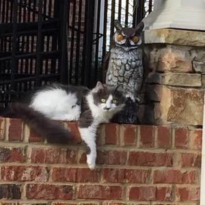 Meet your Posher, Lea