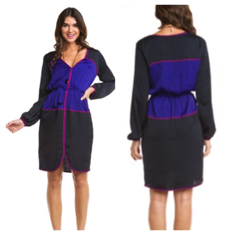 NEW $230 BCBG Max Azria Long Sleeve Colorblock Dress Career Party