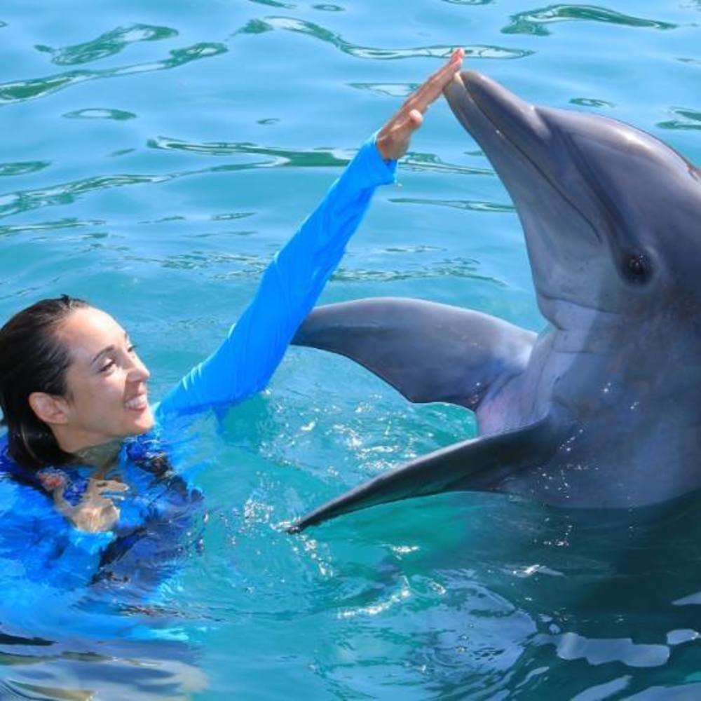 Meet your Posher, Ami