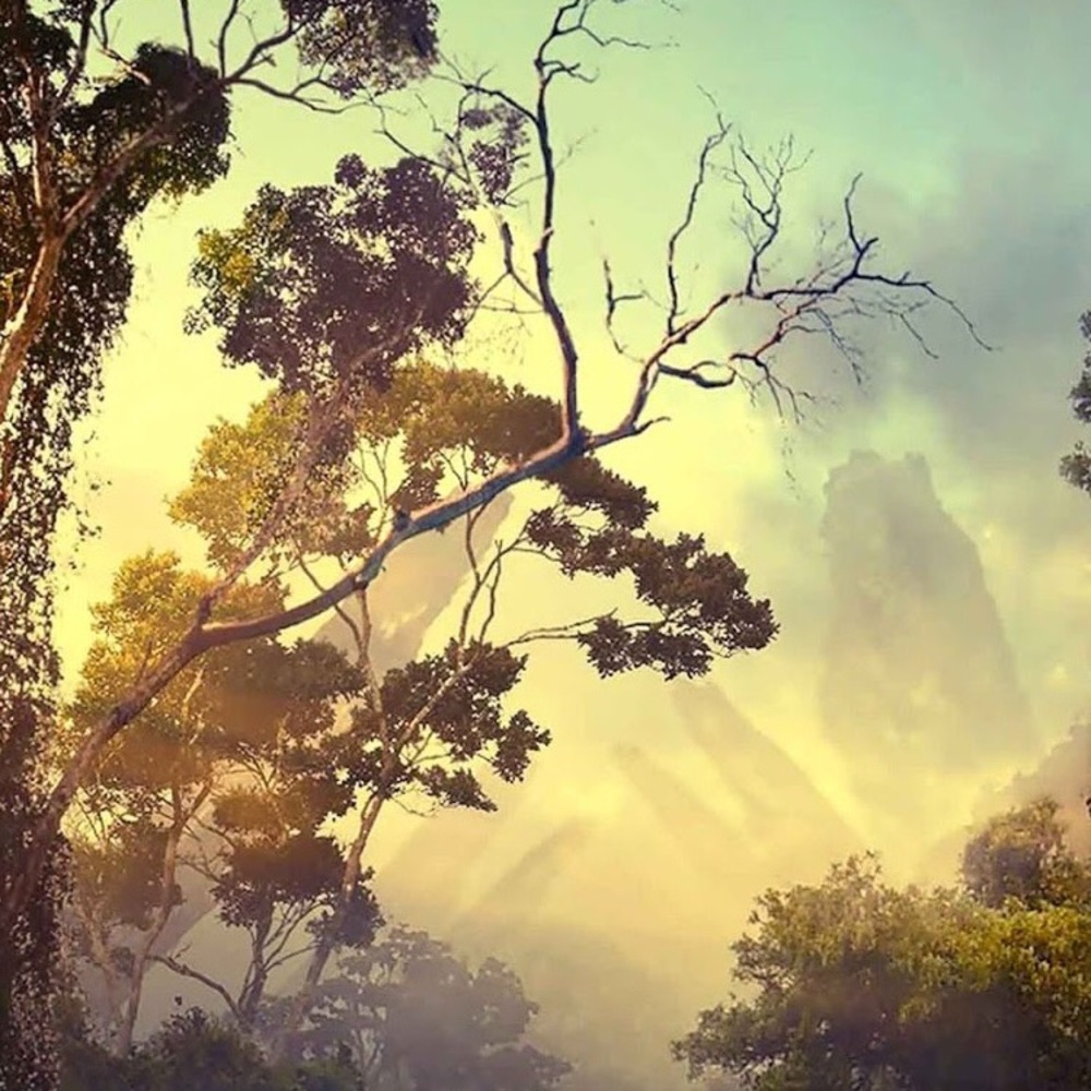 Meet your Posher, Claire