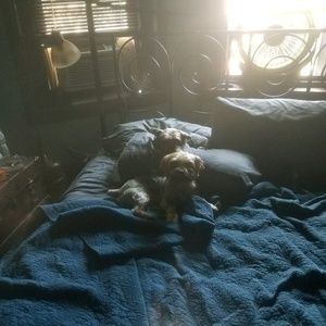 Meet your Posher, Dawn